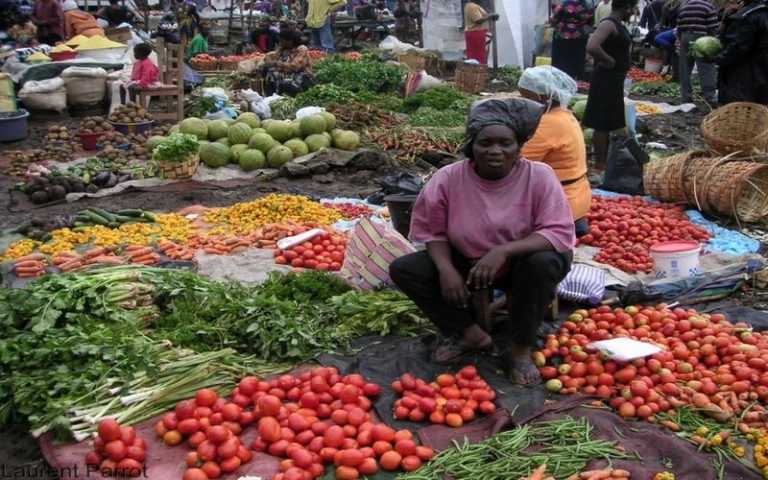 Les Nations Unies dissèquent les questions liées aux systèmes alimentaires
