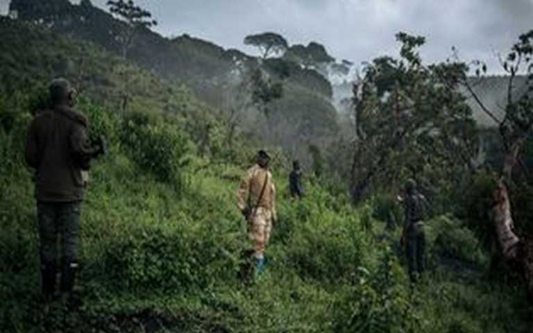 Trois Pygmées interdits de leurs réserves naturelles tués en RDC