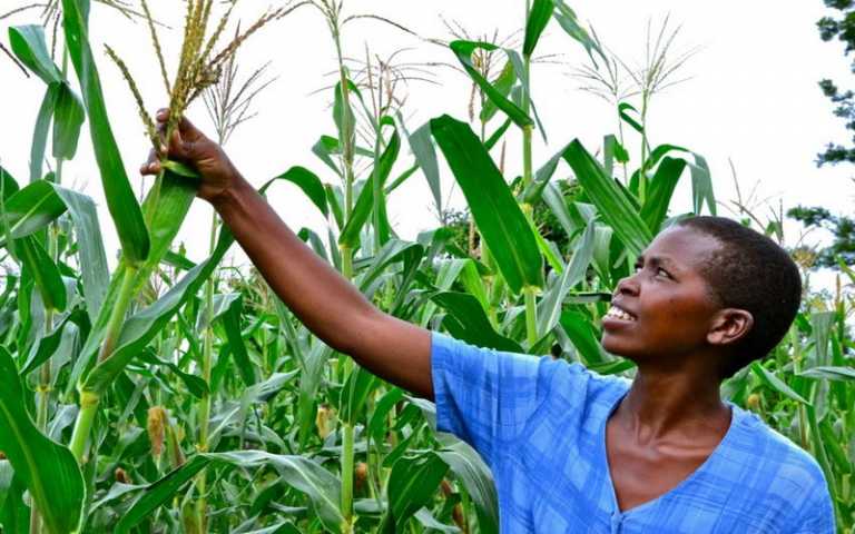 Financement de projets agricoles : Le Bénin compte mobiliser 386 milliards de FCFA
