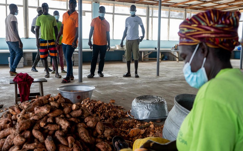 Vers l’industrialisation du secteur agricole au Ghana