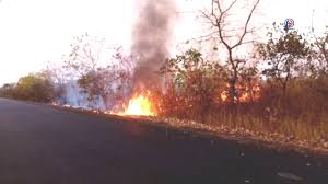 SENEGAL-STRATÉGIES DE LUTTE CONTRE LES FEUX DE BROUSSE : projets d’atténuation et d’adaptation au changement climatique au menu