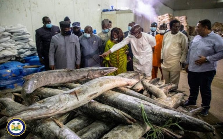 Inauguration de la première usine de transformation du poisson en Sierra Leone