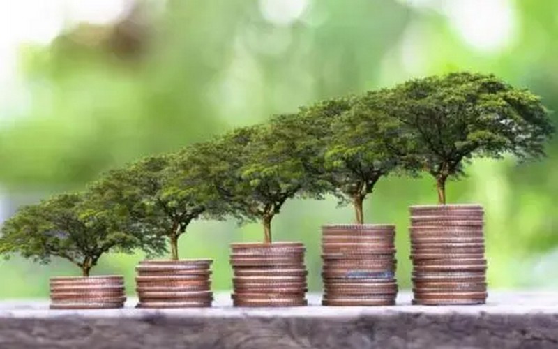 La finance verte réussit une grande prouesse malgré la pandémie du Covid-19