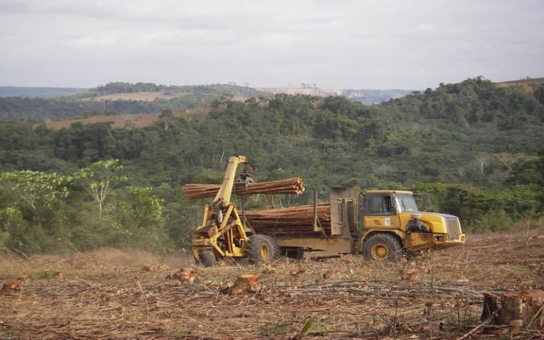 L&rsquo;agriculture vivrière, 1er facteur de déforestation en Afrique, selon WWF