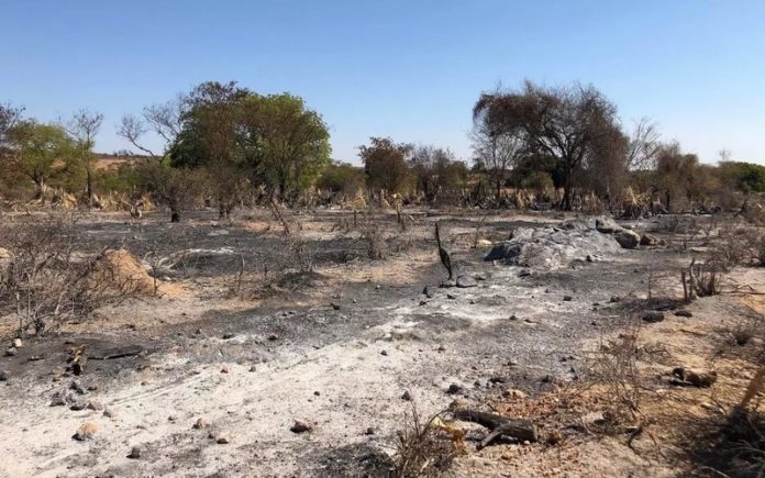 Le Grand Sud de Madagascar sous le poids de la sécheresse et famine