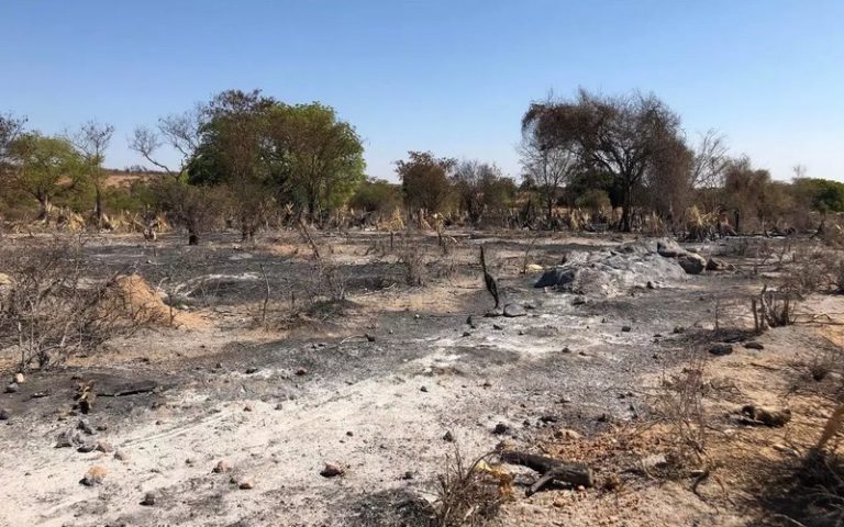 Le Grand Sud de Madagascar sous le poids de la sécheresse et famine