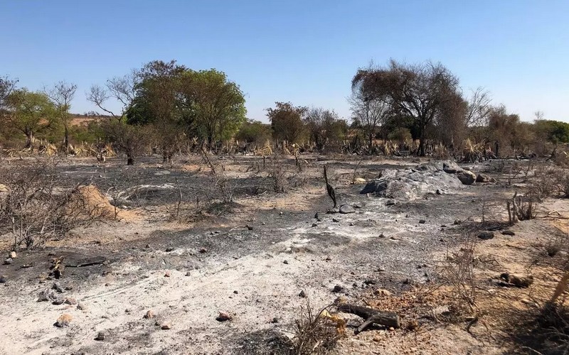 Le Grand Sud de Madagascar sous le poids de la sécheresse et famine