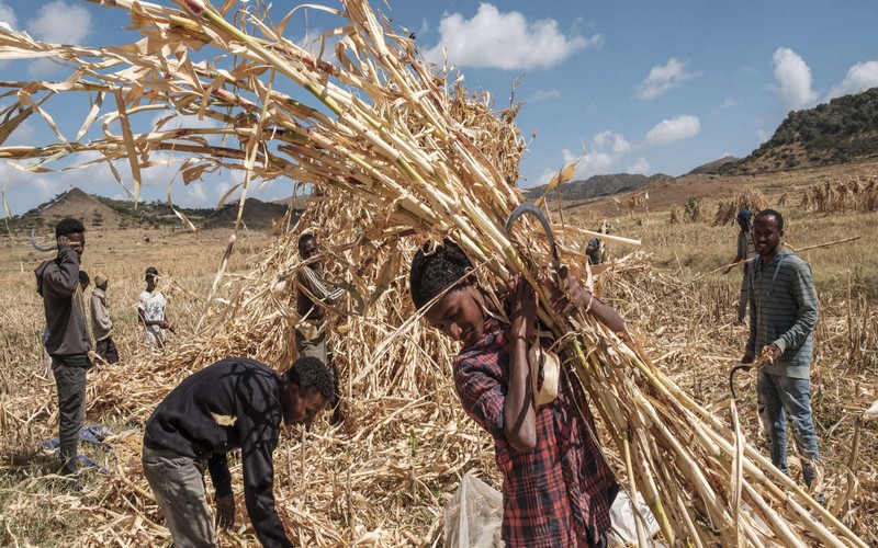 Le continent africain se dote de nouvelles solutions de lutter contre la faim