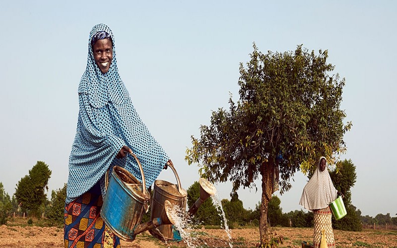 Le programme Hydromet en Afrique : renforcer la résilience climatique et le relèvement après une catastrophe