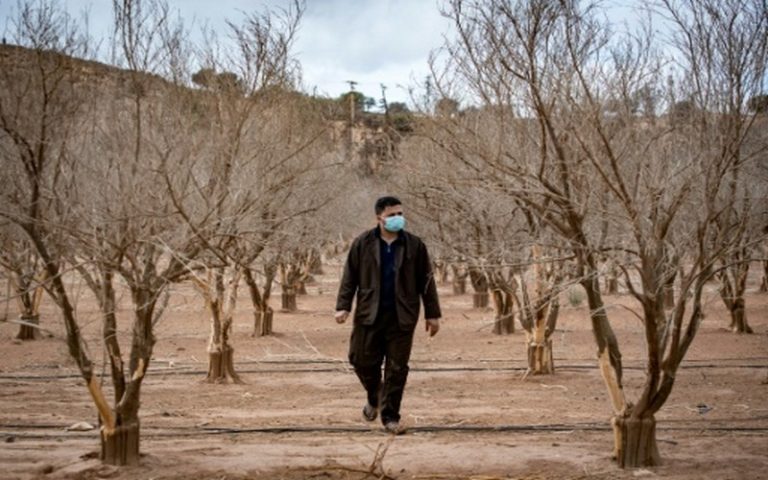 Les grandes zones agricoles desséchées du Maroc sous le diktat de la rareté de l&rsquo;eau