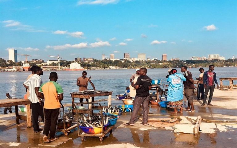 Plaidoyer pour la promotion d’une pêche artisanale thonière en Afrique de l’Ouest