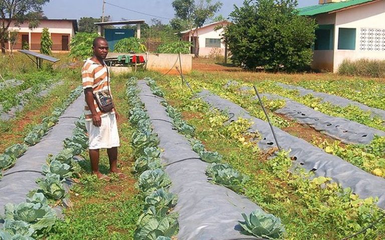 Promouvoir auprès des jeunes les métiers de l’agriculture