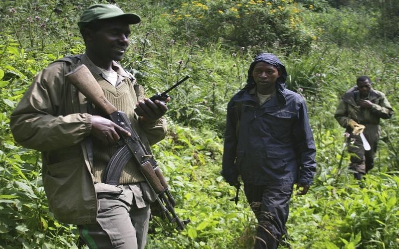 RDC : six éco gardes tués dans une attaque dans le parc des Virunga