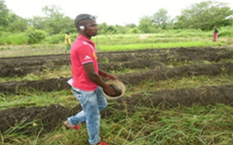 Sénégal : NINNABA, mise sur des solutions pratiques durables pour accroitre la productivité des exploitants familiaux