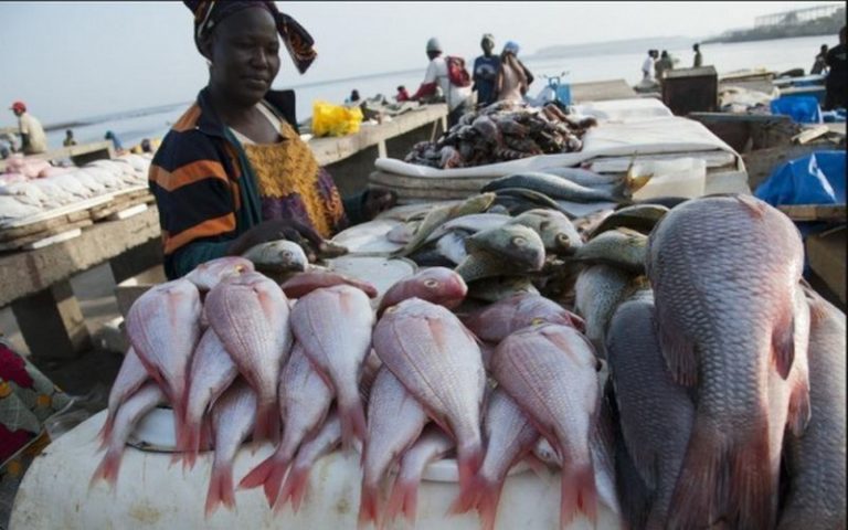 Sénégal : Plaidoyer pour plus de transparence dans les pêcheries africaines