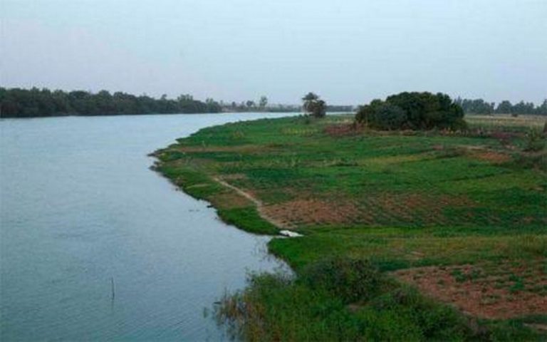 4,5 milliards FCFA de l’Italie pour l’essor des filières semencières dans le bassin du fleuve Sénégal