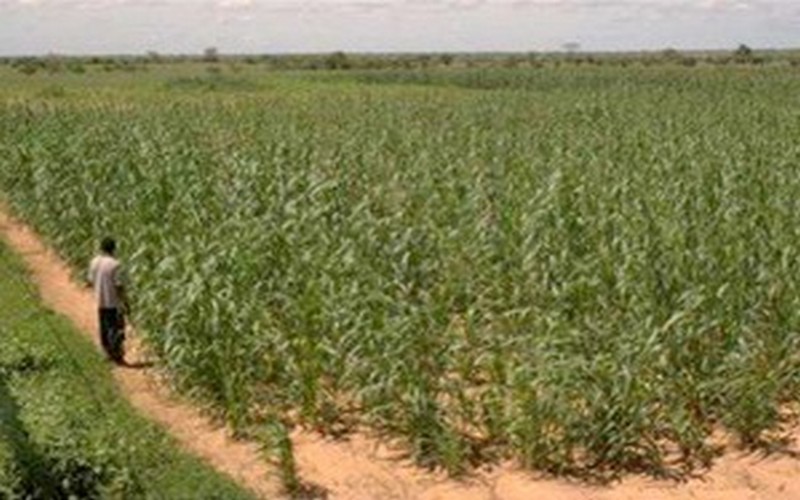 Agriculture résiliente : 7 pays d’Afrique de l’Ouest accueillent 11 projets pour 2,4 millions €