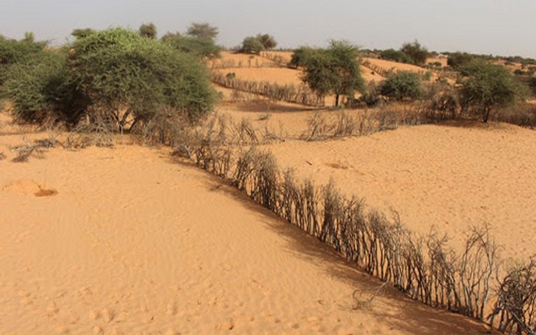 GMES & AFRICA – Consortium Afrique du nord : formation sur la modélisation de la vulnérabilité à la désertification – plateforme web MISLAND