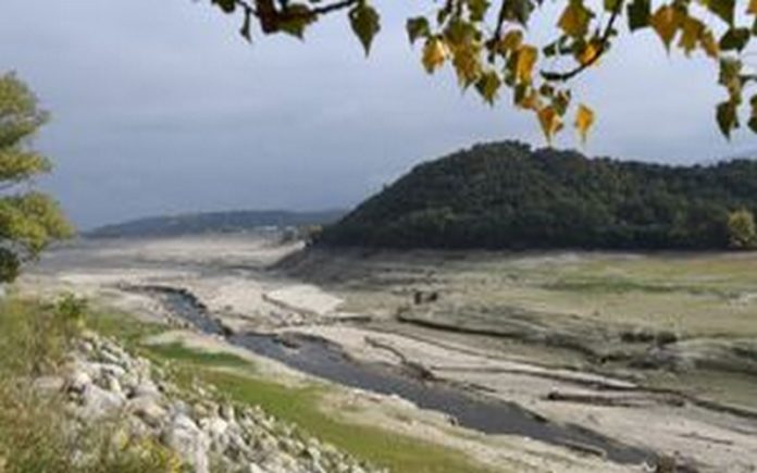 Loi climat en France les associations écologistes dénoncent un texte édulcoré