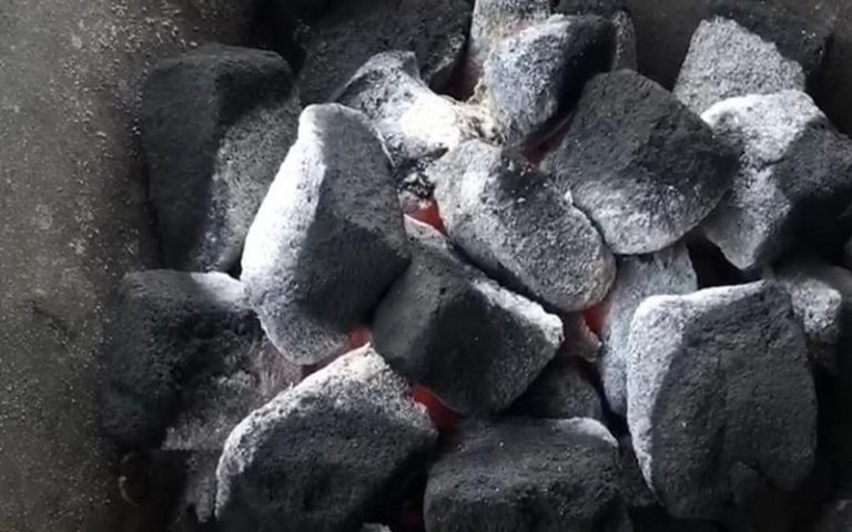 Préservation de l&rsquo;environnement : des entrepreneurs à l’assaut du charbon bio à base de cabosse de cacao et de jacinthe d’eau