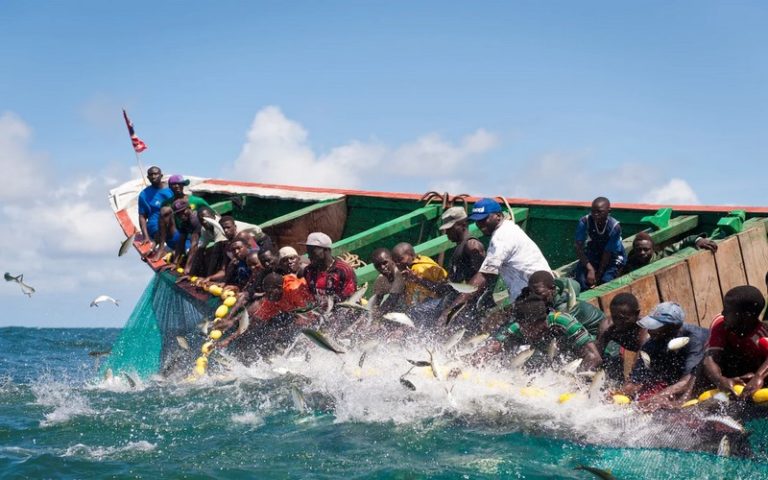 Réactive sur les pêcheurs artisanaux de la Casamance victimes de l’accord de pêche entre le Sénégal et l’Union européenne