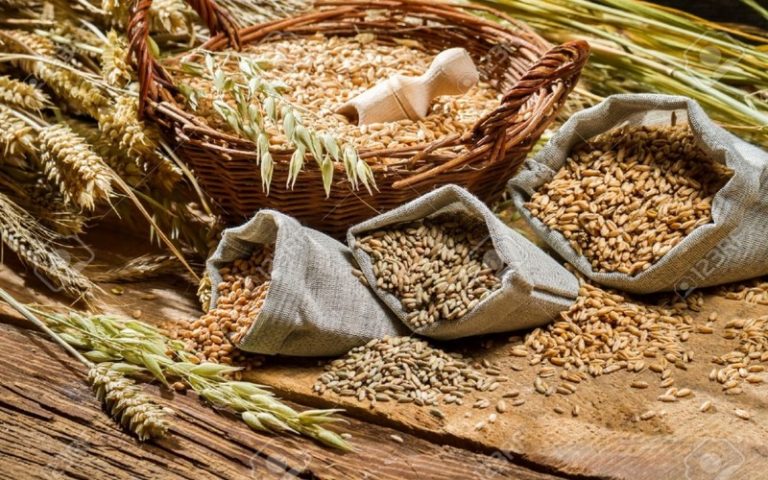Sénégal : Baisse de 120.224 tonnes de la production céréalière en 2019-2020