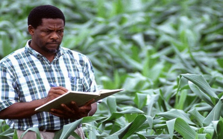 Vers la mise en place d’un centre universitaire dédié à l’enseignement agropastoral au Togo