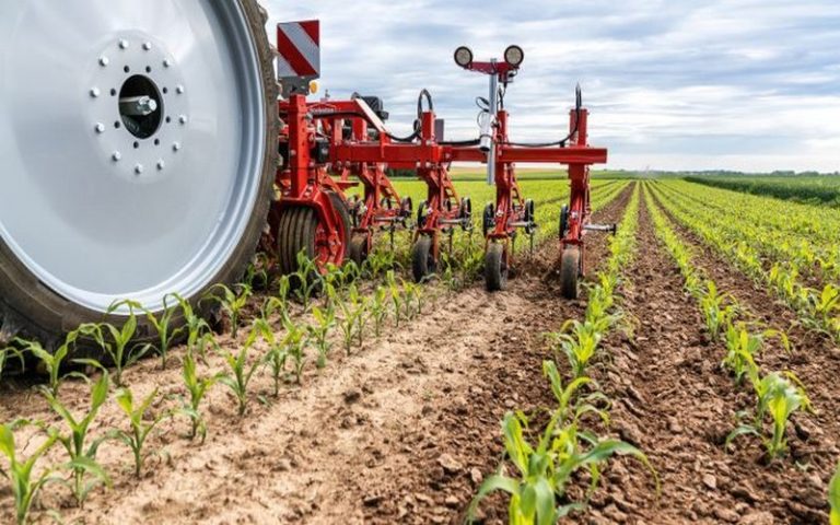 Agrobio 35 organise une formation en ligne sur le désherbage mécanique du maïs