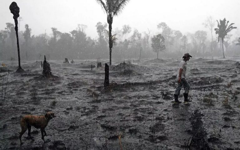 Casino trainée en justice en France par des ONG et des indigènes pour la déforestation en Amazonie