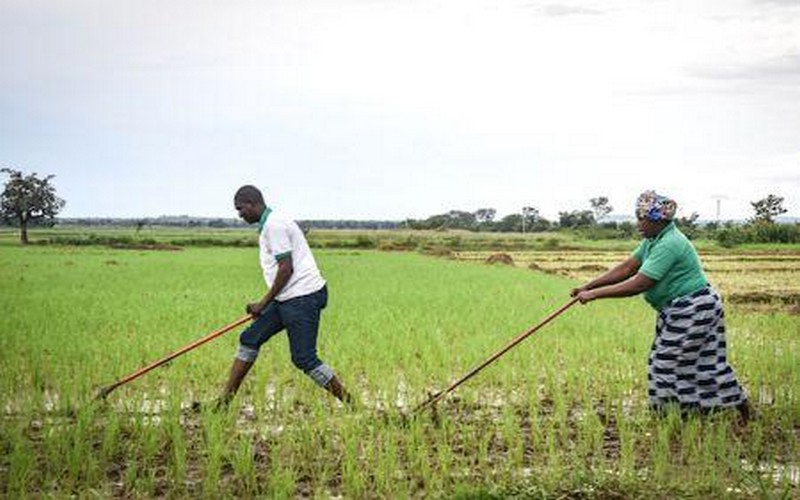 La bataille contre la pauvreté affiche des progrès encourageants au Sahel malgré l’insécurité