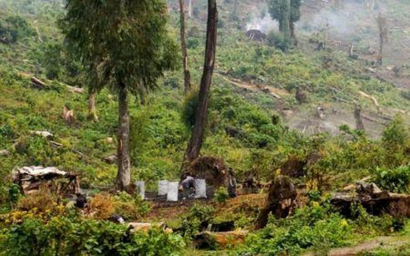 Land Accelerator ouvre les candidatures pour une formation sur la restauration des forêts et terres agricoles en Afrique