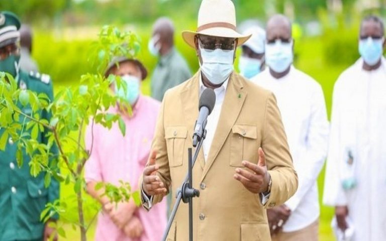 Le Sénégal se dote de 9 nouvelles forêts classées d’une superficie de 84 726 ha