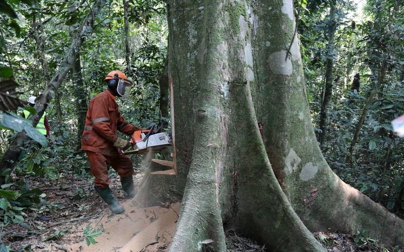 Les biens communs, une voie d’avenir pour l’Afrique