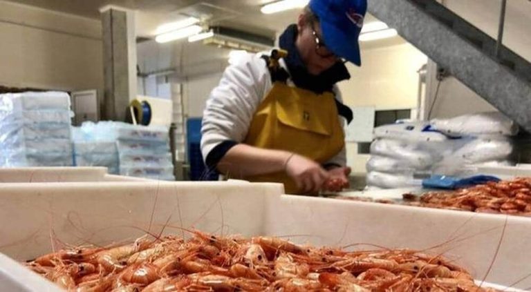 Labellisation, Energies propres, Inquiétudes dans le secteur du pèche à la Une