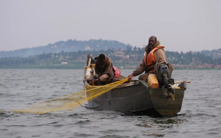 Ouganda : la baisse du nombre de poissons du lac Victoria inquiète les pêcheurs