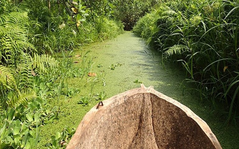 L’Afrique de l’Ouest mise sur les TIC pour renforcer le suivi écologique et la surveillance des sites du patrimoine mondial et des réserves de biosphères