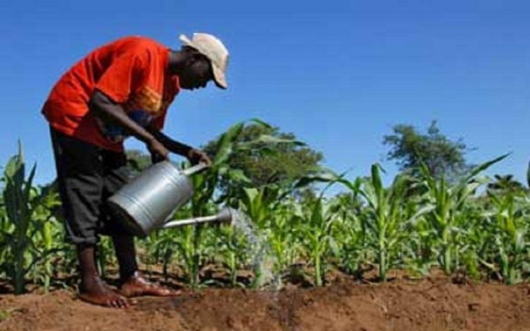 La BAD va appuyer la création d’agropoles et l’emploi féminin dans les chaînes de valeur agricoles au Mali, selon, le DSP 2021-2025