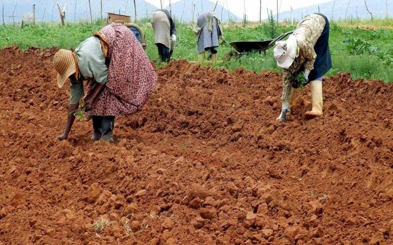 La Journée mondiale de la Terre nourricière célébrée ce jeudi 22 avril 2021