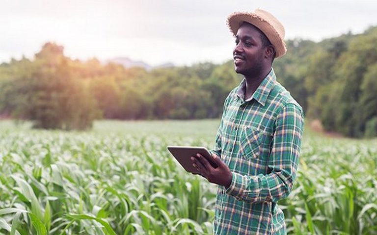 L&rsquo;agriculture africaine est prête pour une révolution numérique