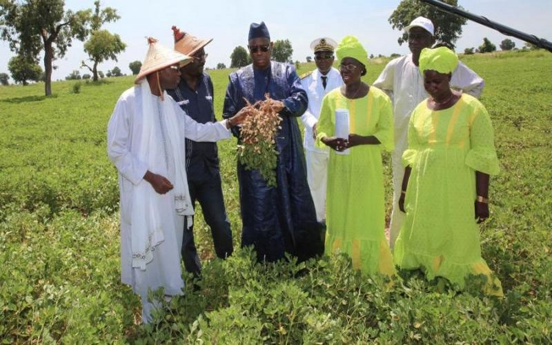 Le Sénégal va mobiliser 60 milliards FCFA pour accompagner les producteurs en matériels et intrants agricoles