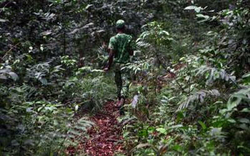Le projet pilote BIPP lancé pour appuyer les initiatives pro-nature en Afrique Australe