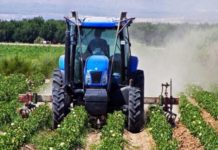 Les entrepreneurs agricoles du Togo lors des « Agri Awards » le 28 avril 2021