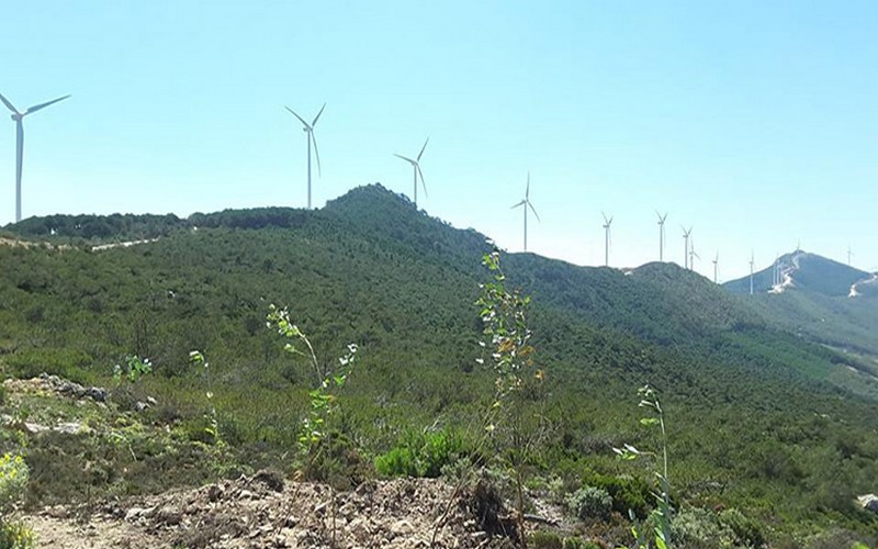 Maroc : Immersion dans le Parc éolien de Melloussa