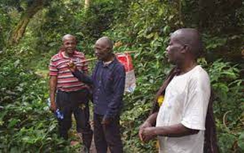 RDC : Les acteurs capacités sur l’utilisation de la base de données de la foresterie communautaire