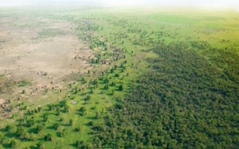 Un atelier de partage des cadres de concentration sur la Grande Muraille Verte réuni les experts Sénégalais
