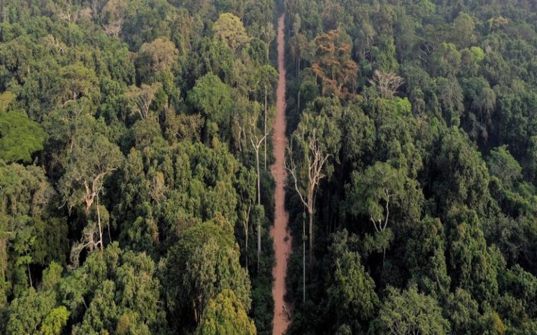 Une étude de l’IRD et du CIRAD s’intéresse à la vulnérabilité à l’augmentation des pressions climatiques et humaines des forêts d&rsquo;Afrique centrale