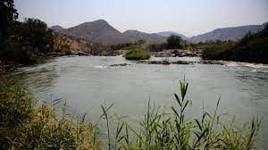 Les criquets envahisseurs causent d’énormes dégâts en Namibie