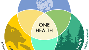 Qu’est-ce que « One Health », le concept qui appelle à associer les santés humaine, animale et environnementale ?