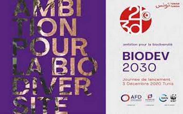 Journée internationale de la biodiversité : le projet BIODEV2030 pour intégrer la biodiversité au développement