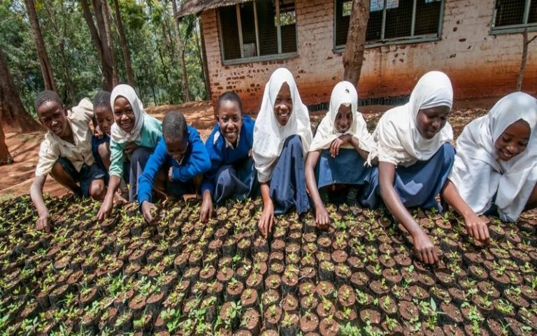 L’AICCRA, une nouvelle initiative sur l’accès aux informations climatiques et aux technologies agricoles intelligentes validées en Afrique lancée le 17 mai 2021